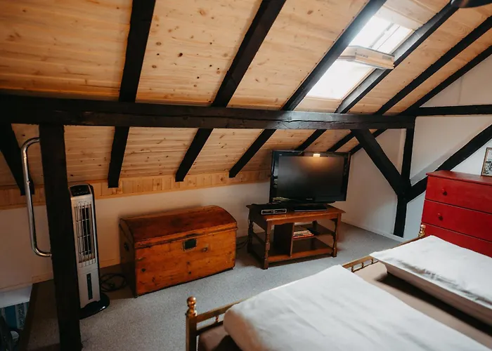 Altes Haeusle Am Waschbach-weinstock Edenkoben